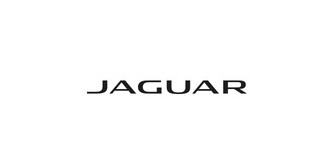 jaguar_99df826141_8100-d496340bb32f0fd0c393fe42c9fa19eb.jpg